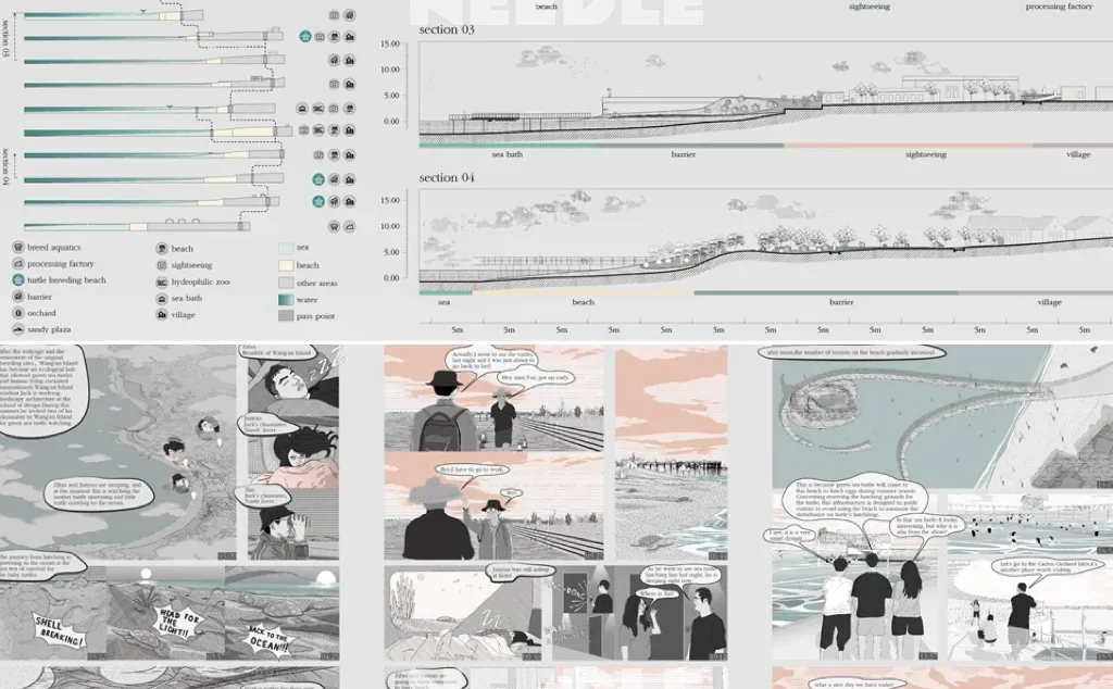 Needle项目：拯救绿蠵龟栖息地的海岸设计