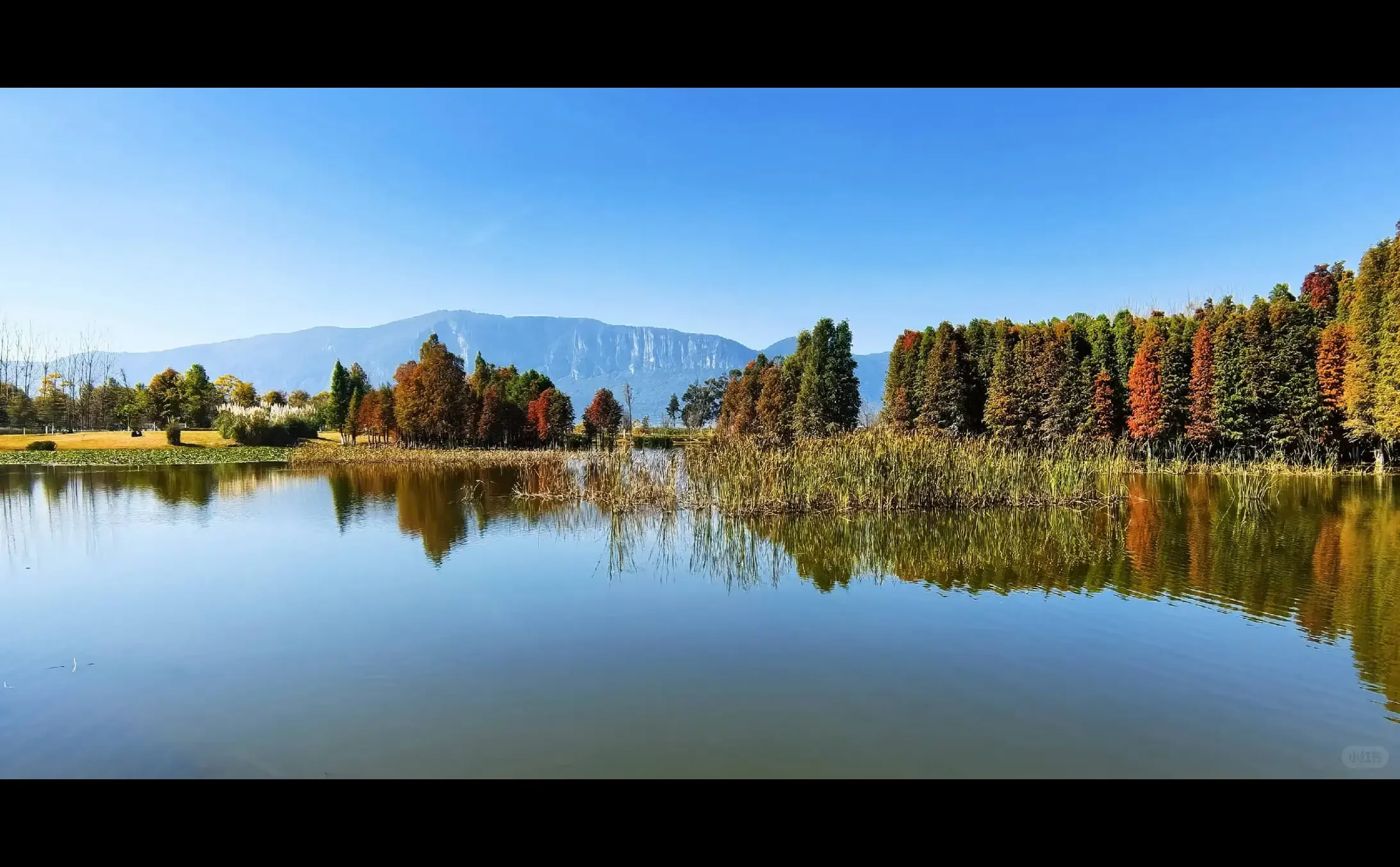 石屏县实体经济破局个人浅见，希望你能指正