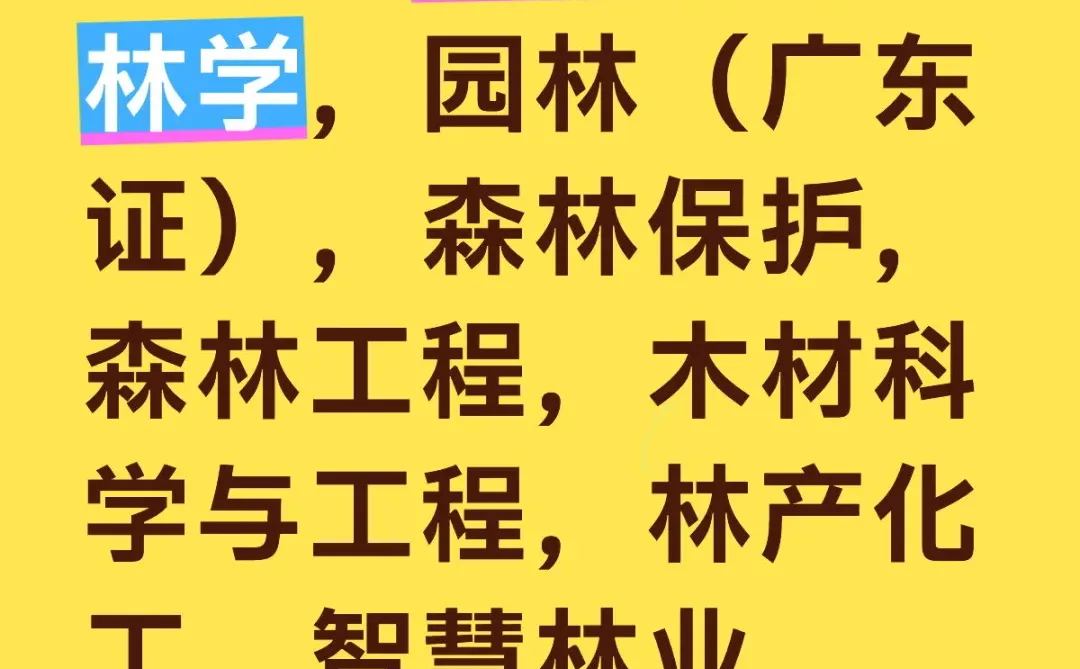办理林业资质，购买五险一金！