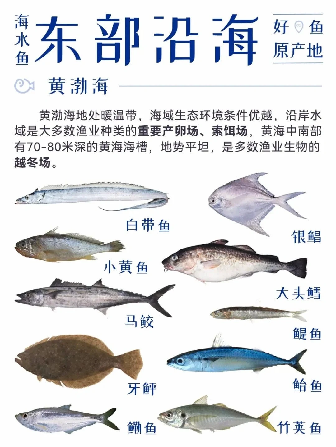 中国渔业地图 大全合集!