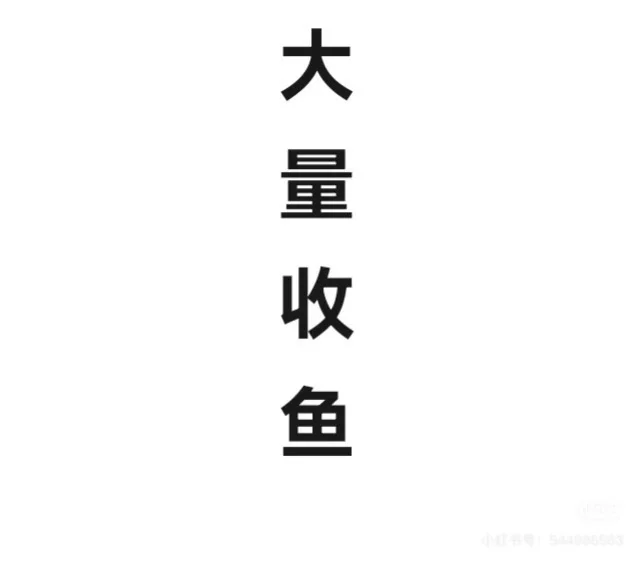 大量收鱼