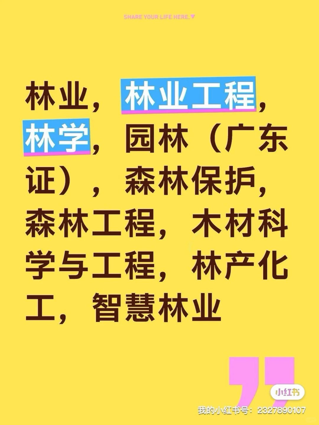 办理林业工程，购买五险一金
