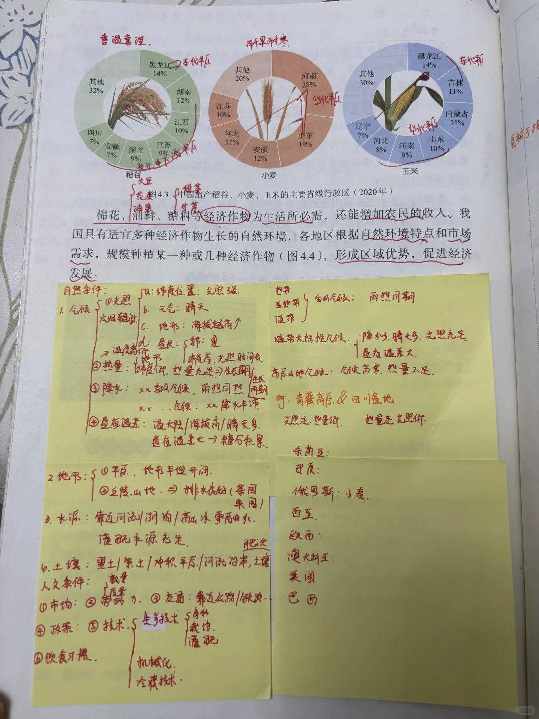 八上第四章第一节农业