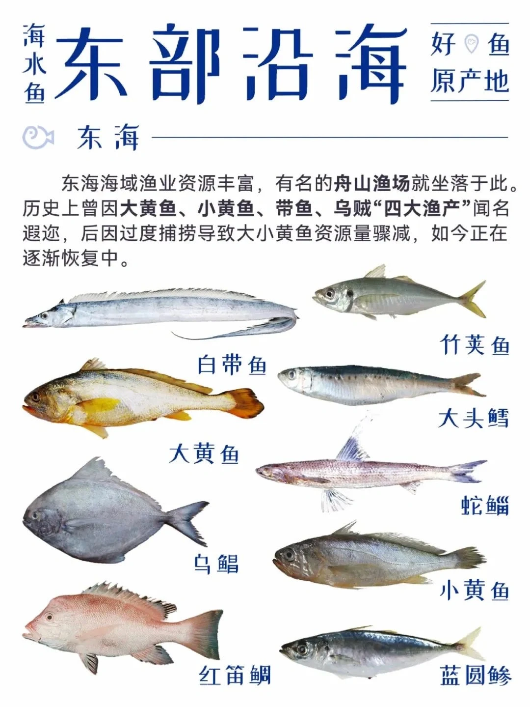 中国渔业地图 大全合集!