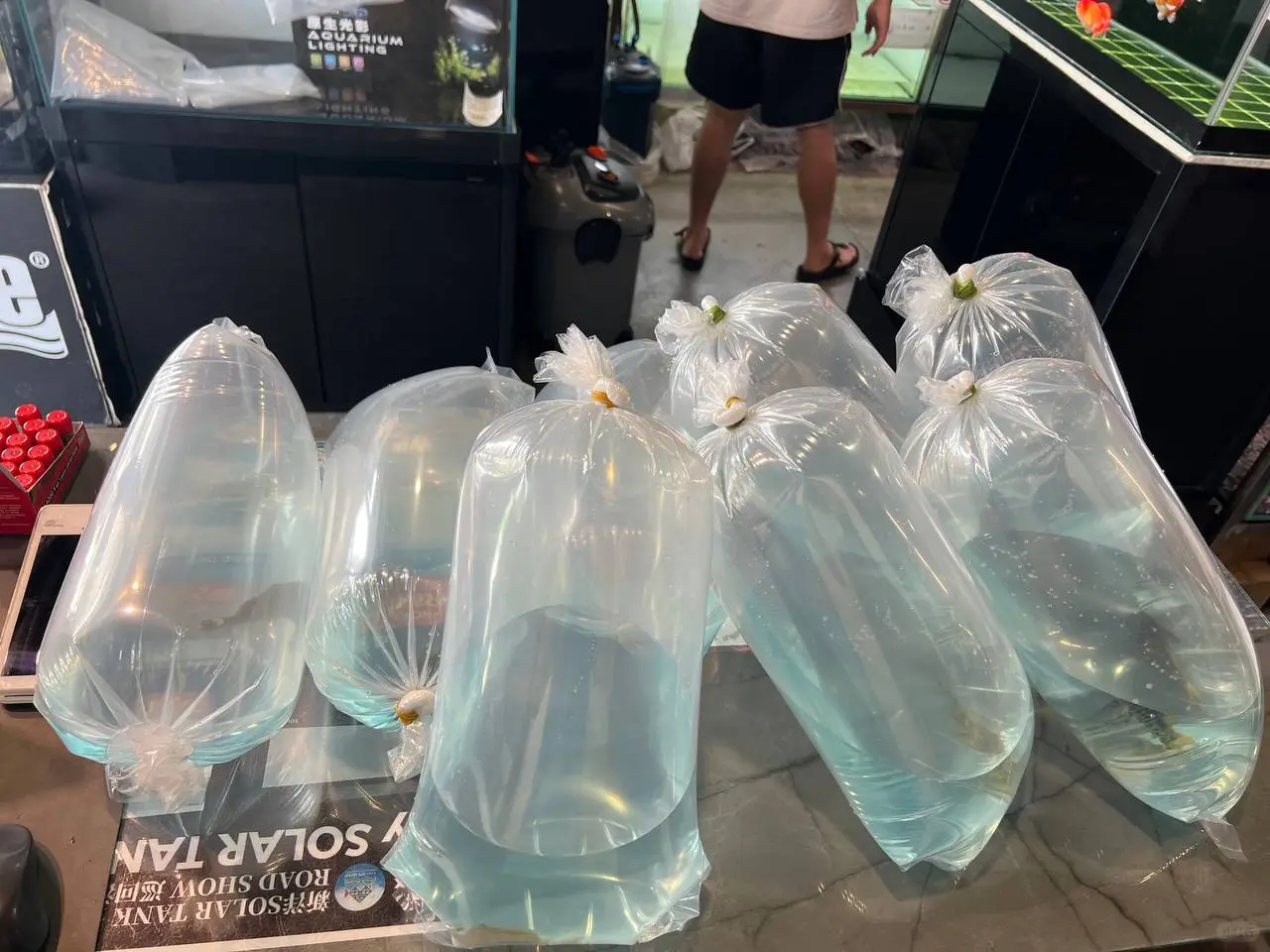 出货日常✨感谢各路老板老板娘支持✊