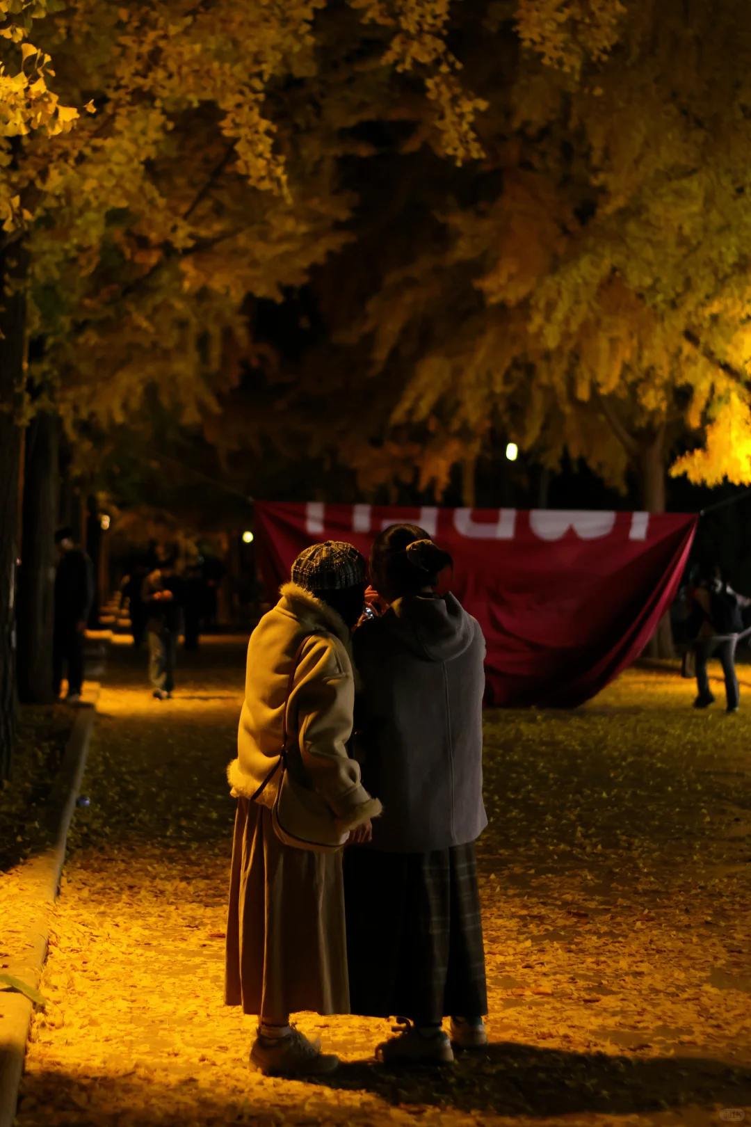 我拍到了秋景最美大学校园！北京林业大学！