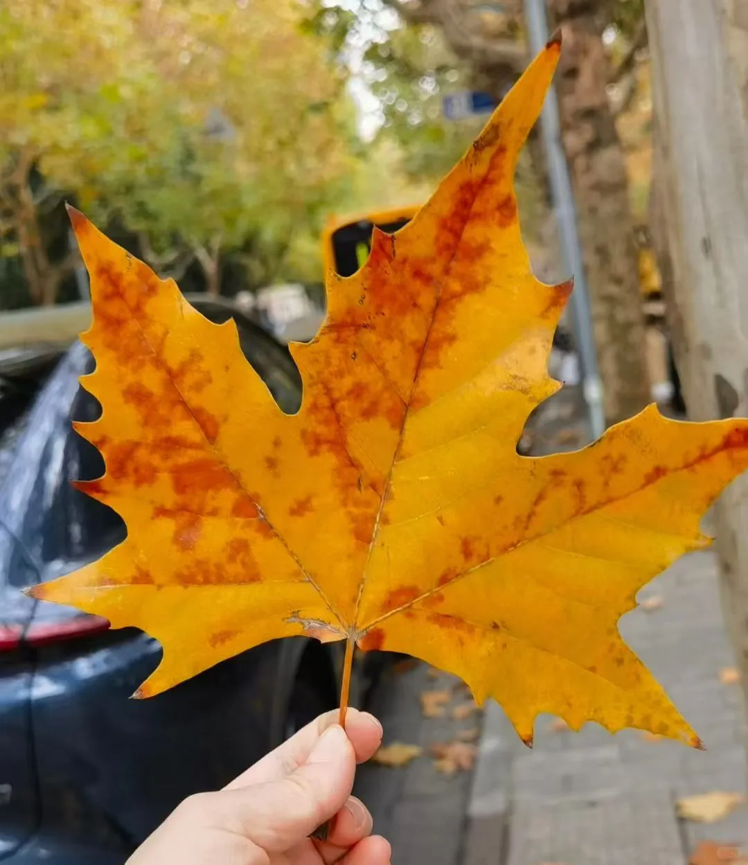 石屏县实体经济破局个人浅见，希望你能指正