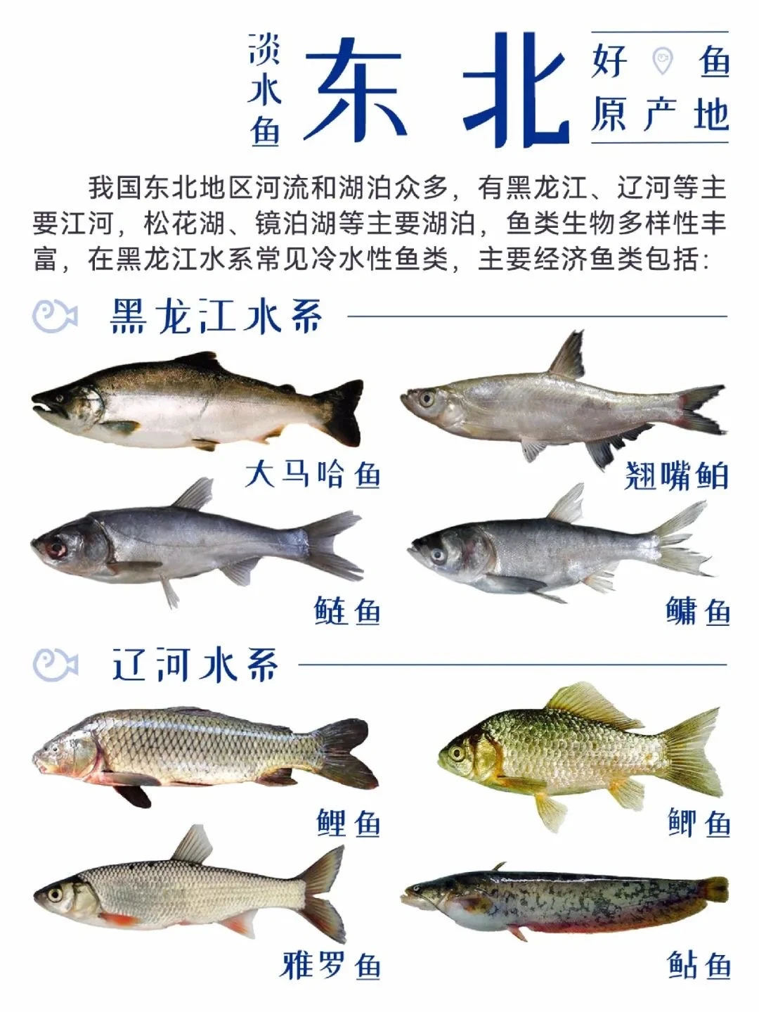 中国渔业地图 大全合集!