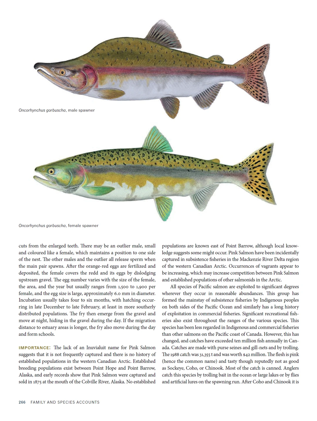 加拿大北极地区海洋鱼类图鉴