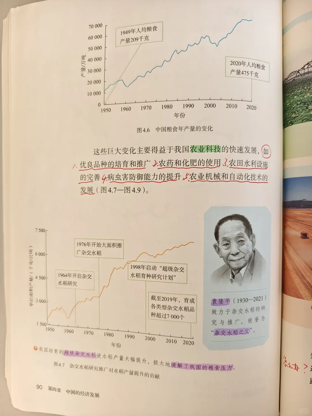 八上地理人教版 《农业》