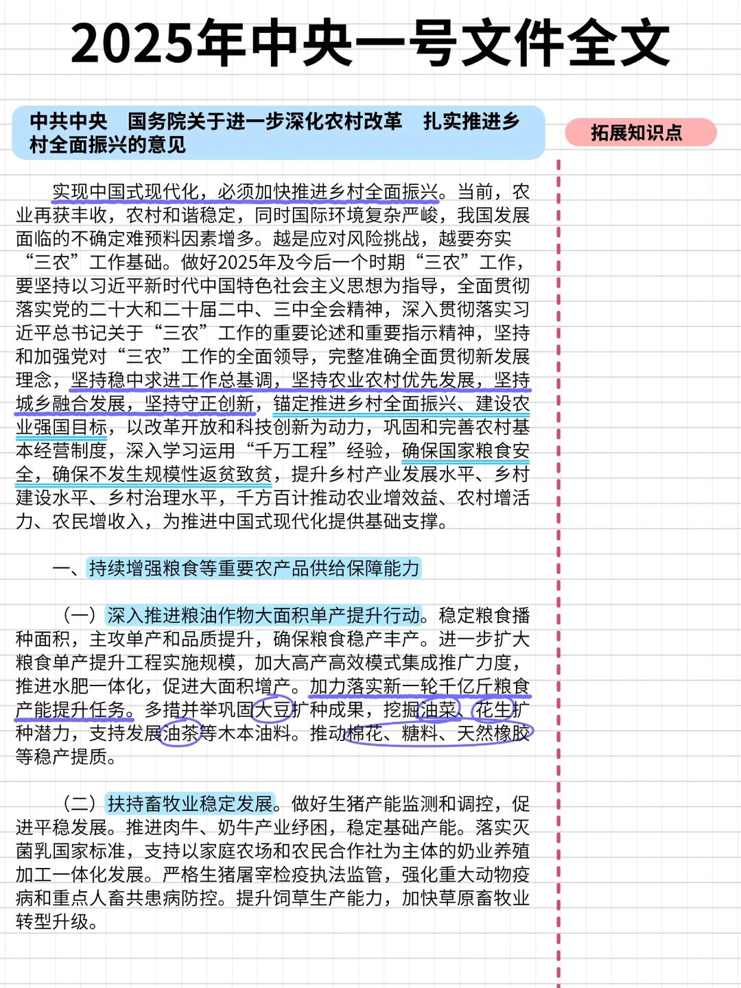 2025年中央一号文件