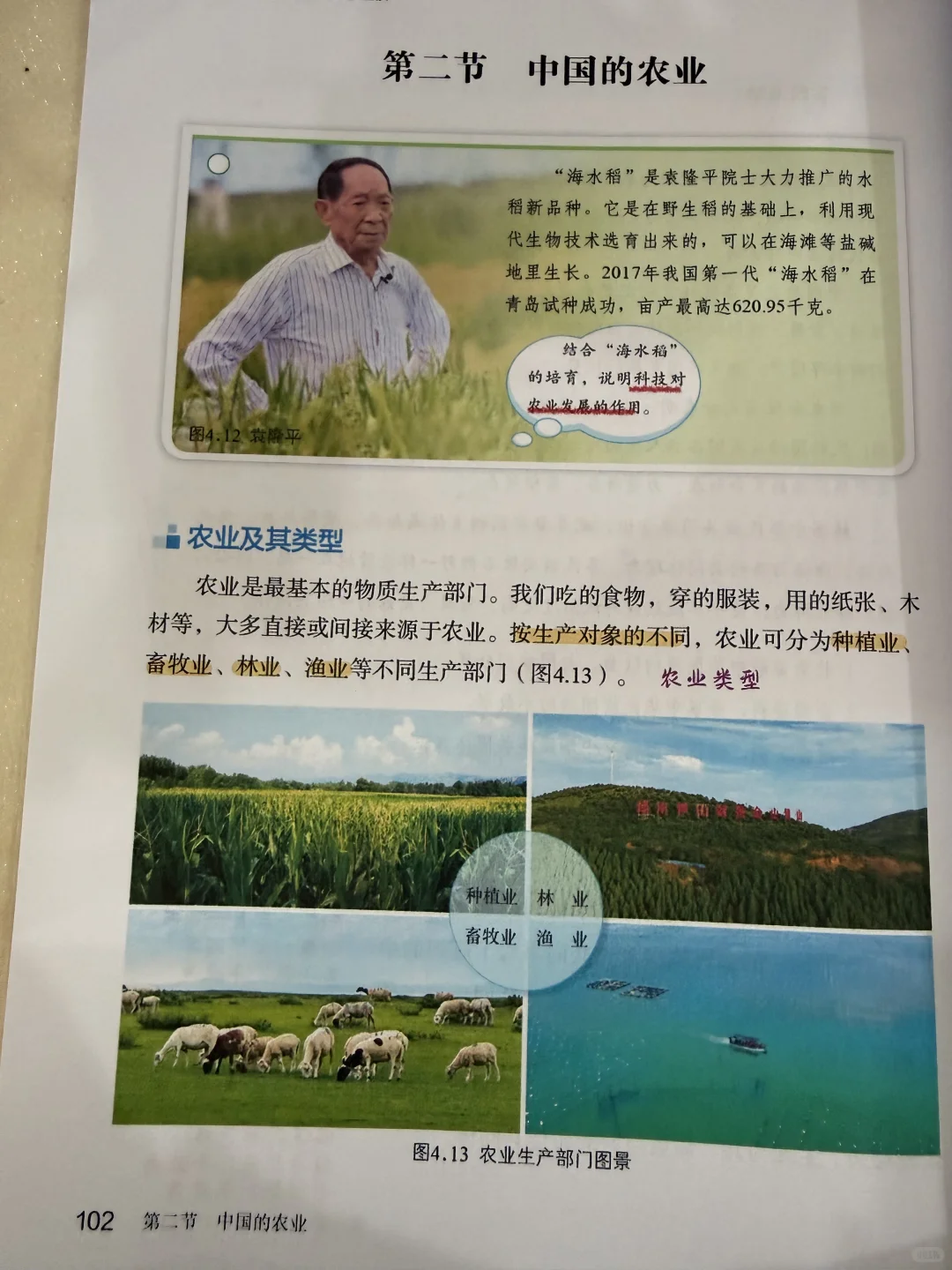 第二节 中国的农业