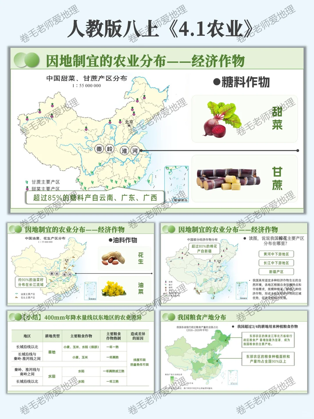 新人教版八上《农业》