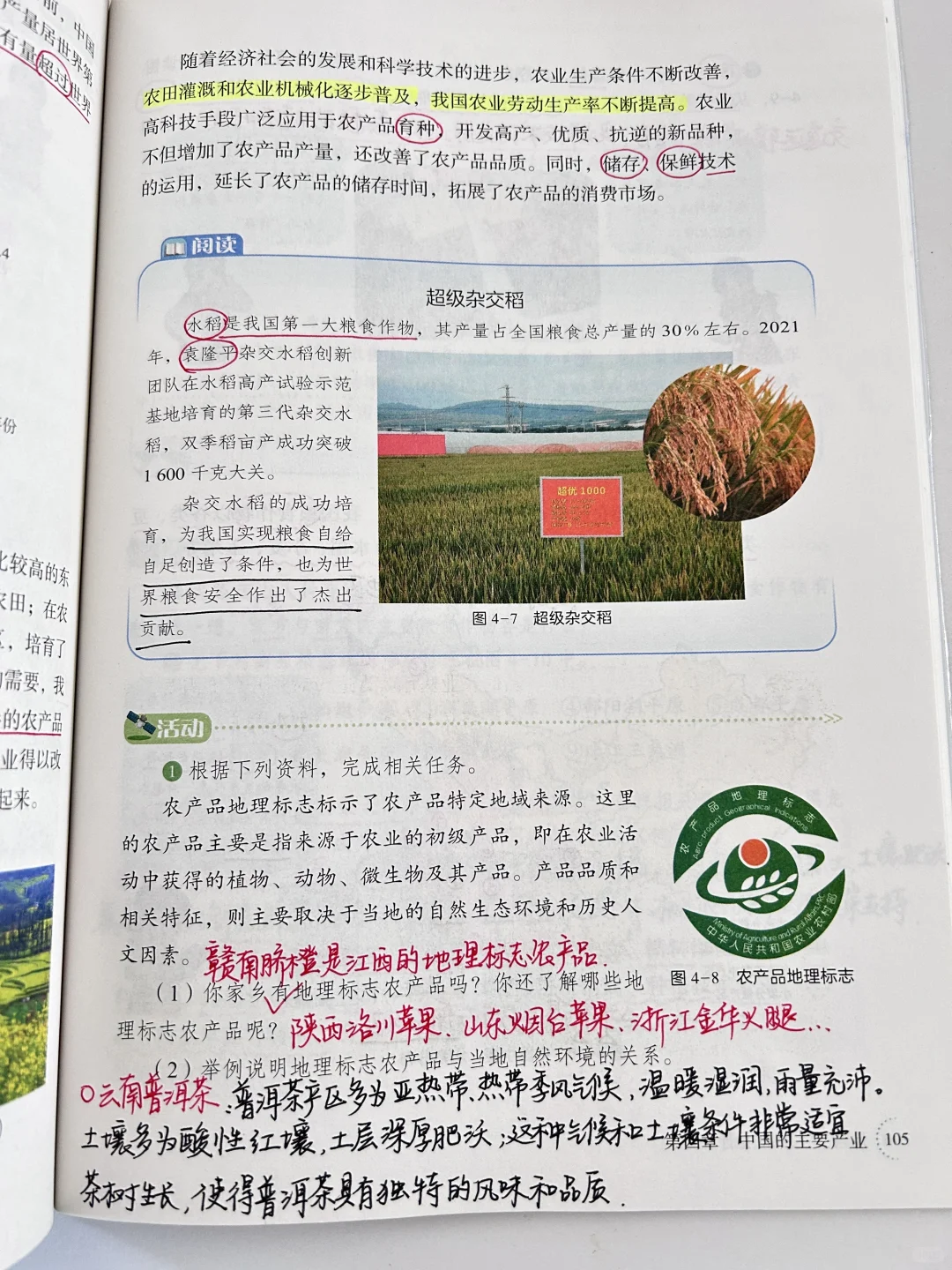 新湘教版 中国的农业🌾🌳🐑🐟