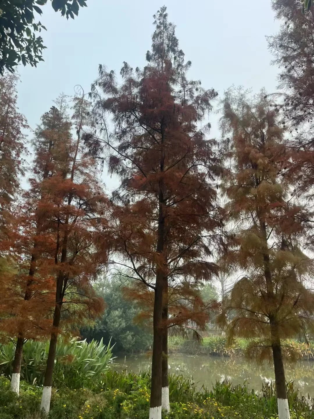 石屏县实体经济破局个人浅见，希望你能指正