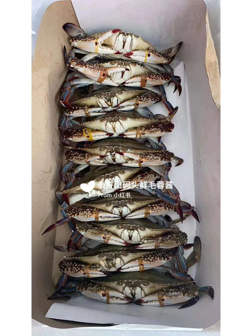 生鲜套餐发上海已完结，期待5⃣️月新品套餐出