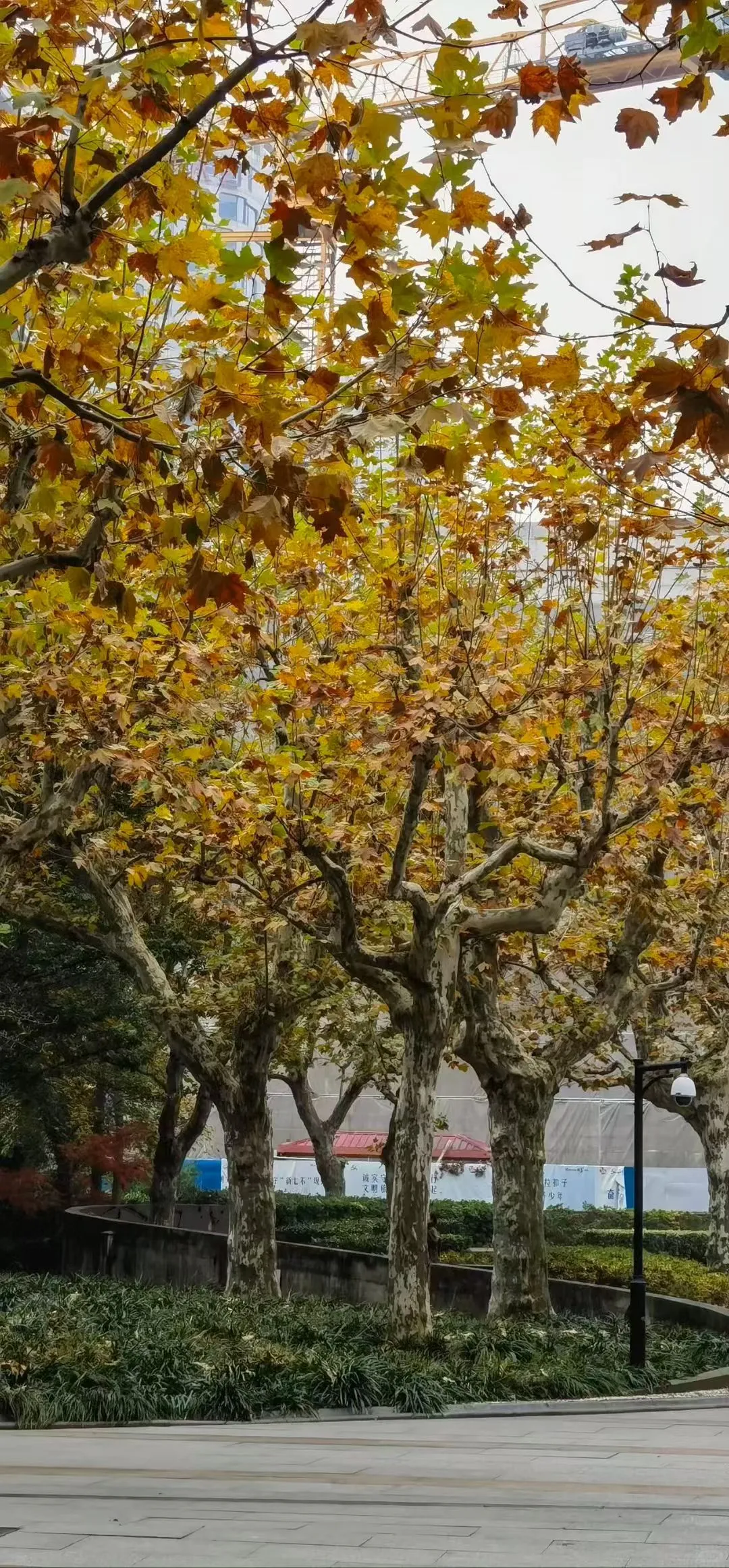 石屏县实体经济破局个人浅见，希望你能指正