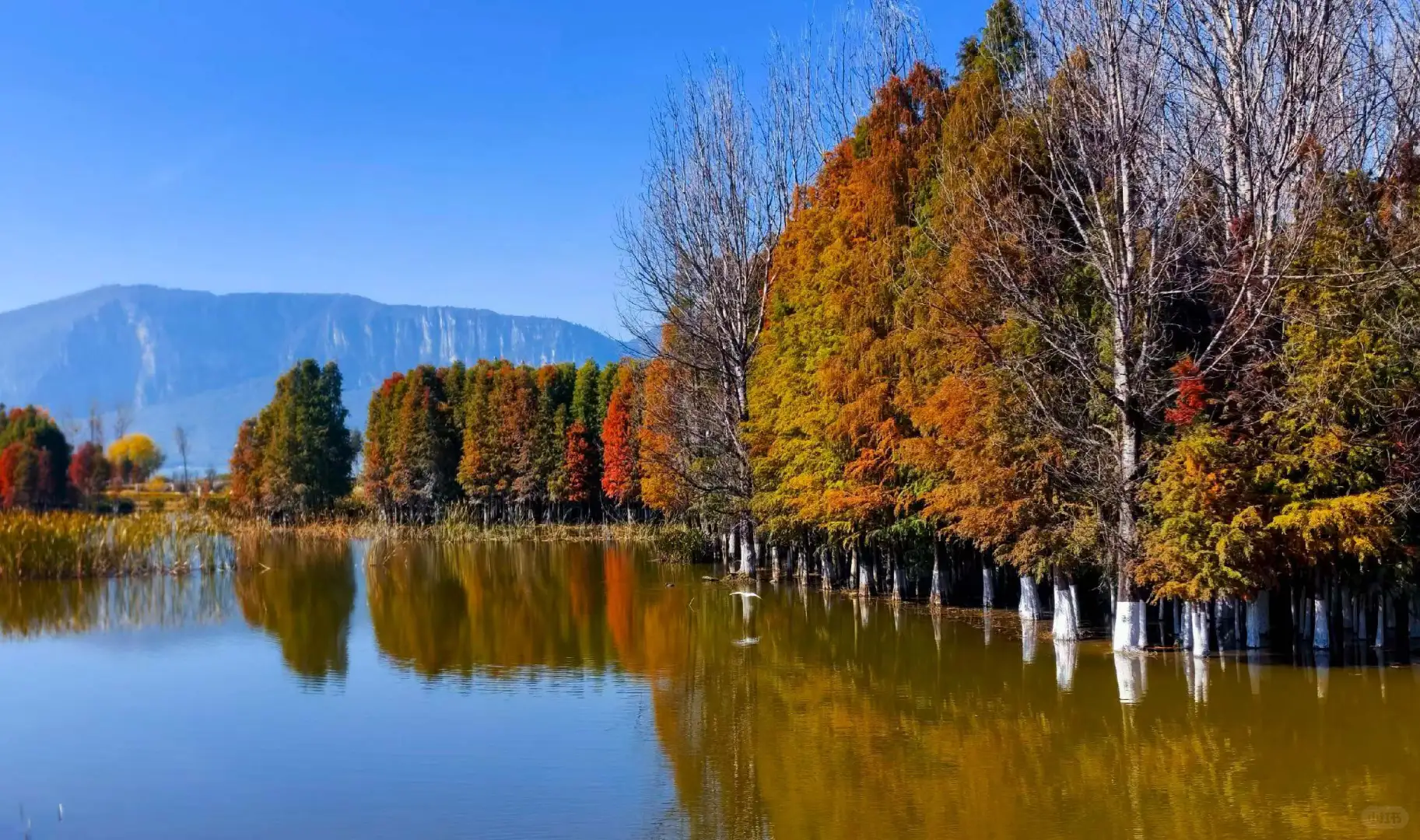 石屏县实体经济破局个人浅见，希望你能指正