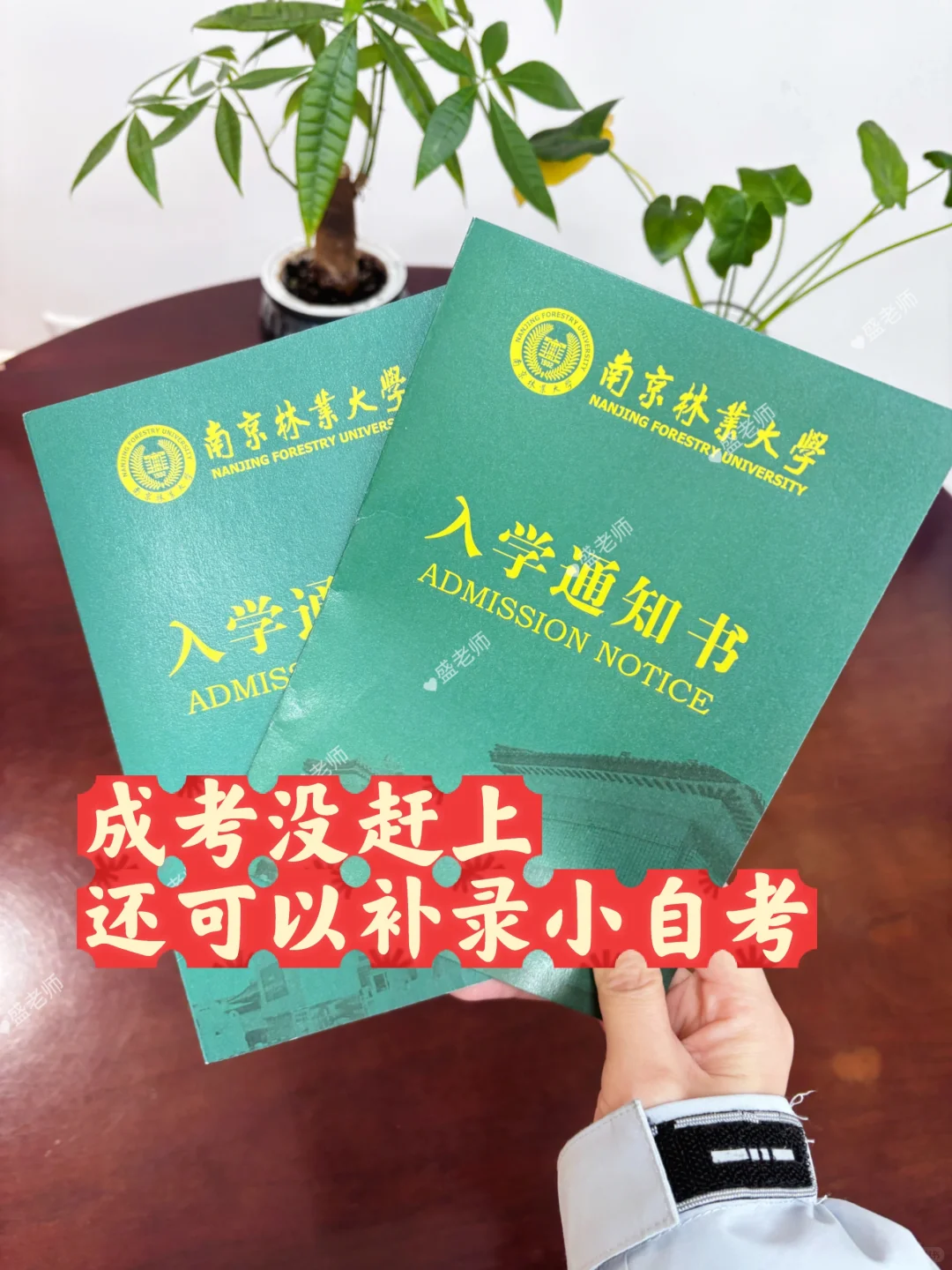 成考没有赶上，还能江苏小自考南京林业大学