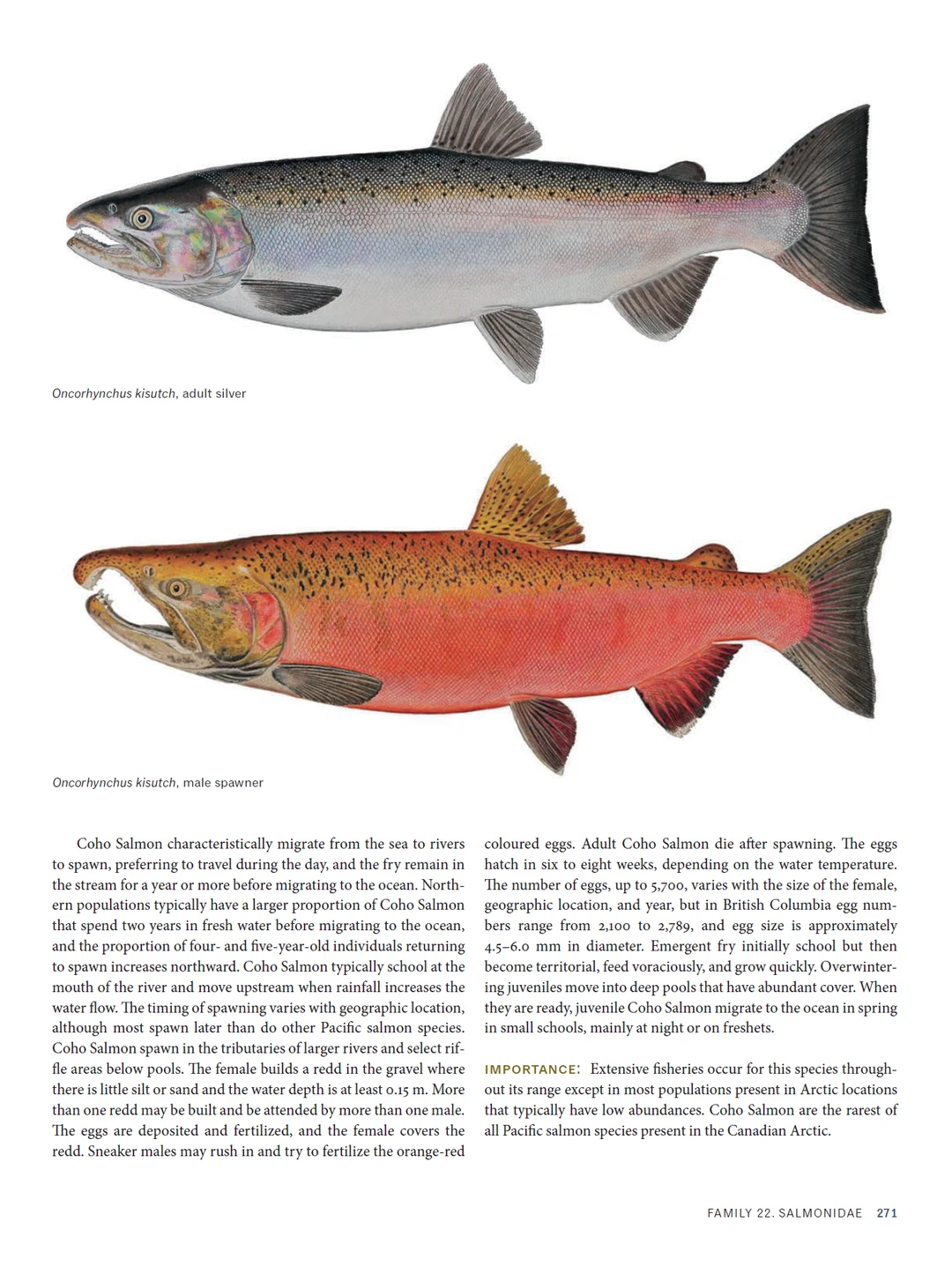 加拿大北极地区海洋鱼类图鉴