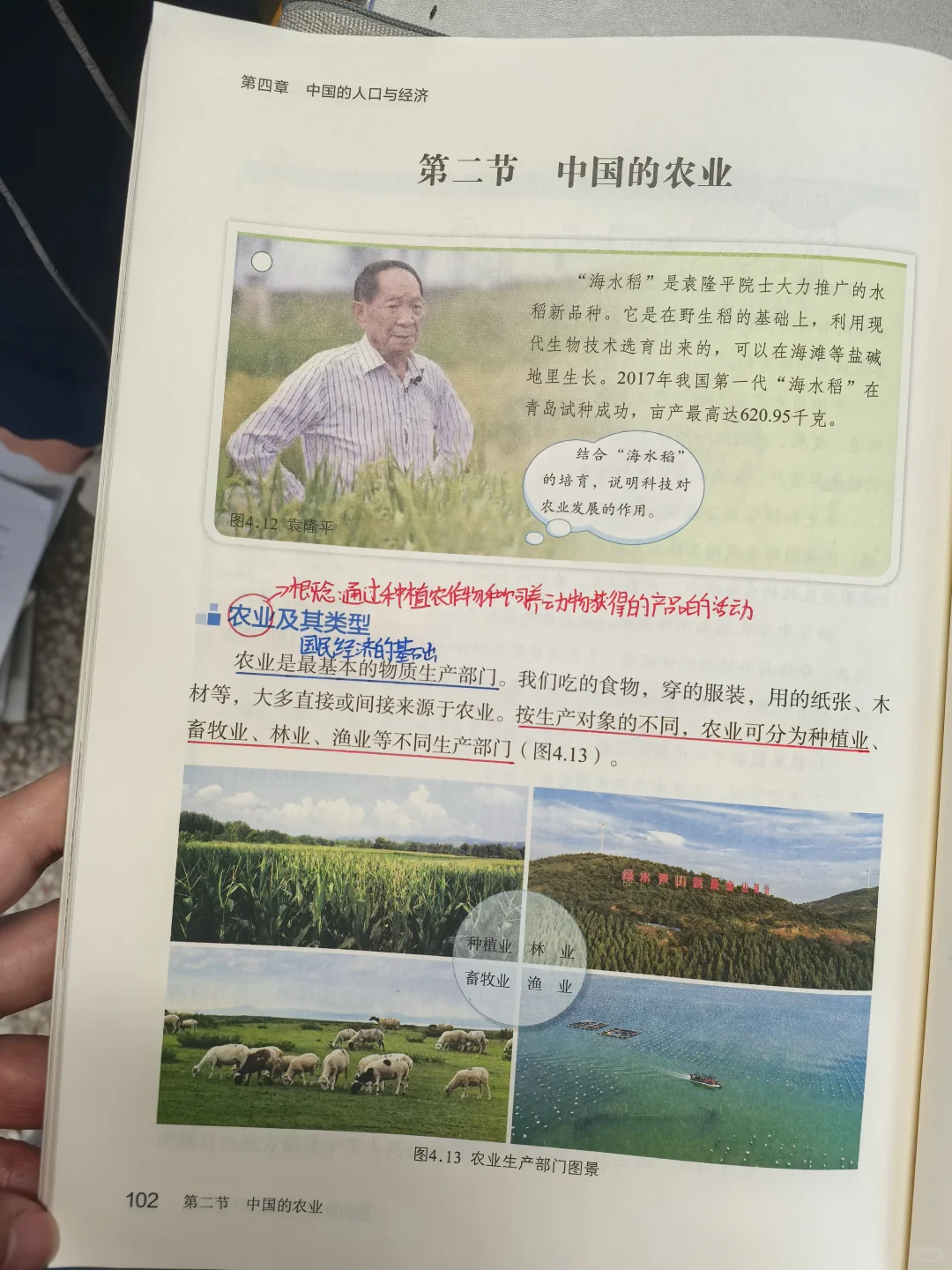 第四章第二节中国的农业