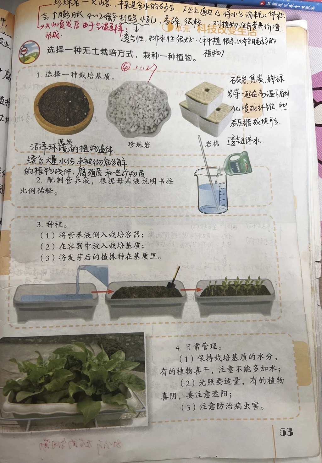 《人造肥料与现代农业》六上备课笔记