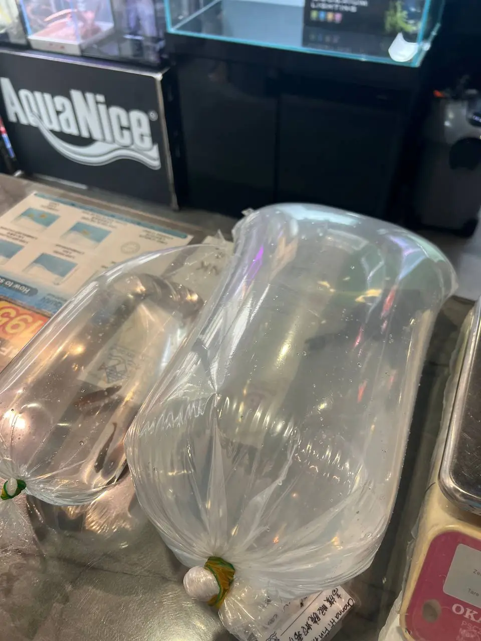 出货日常✨感谢各路老板老板娘支持✊