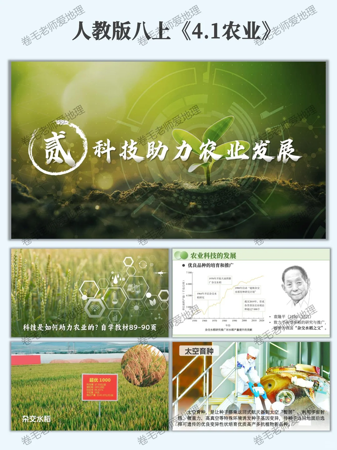 新人教版八上《农业》