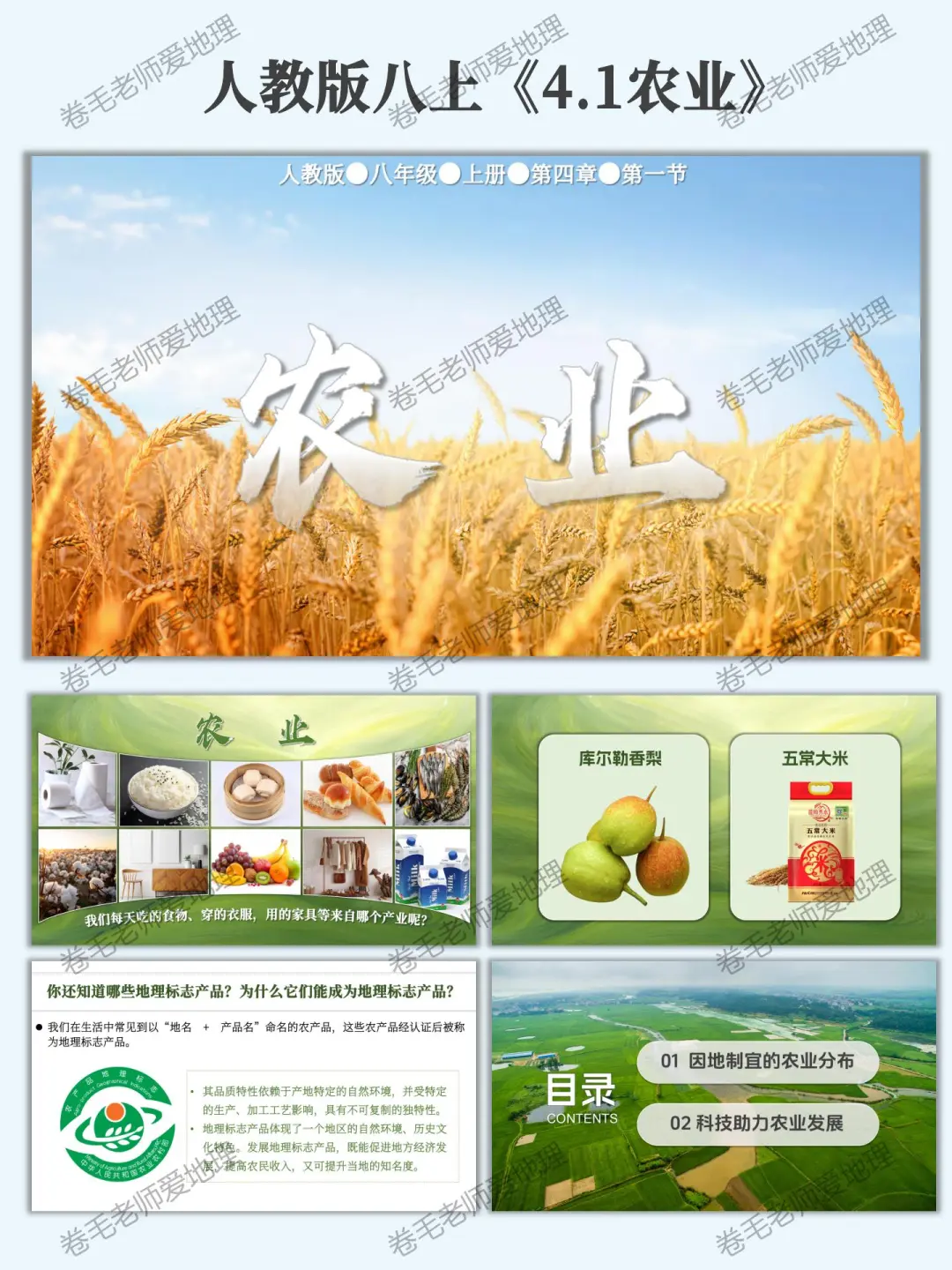 新人教版八上《农业》