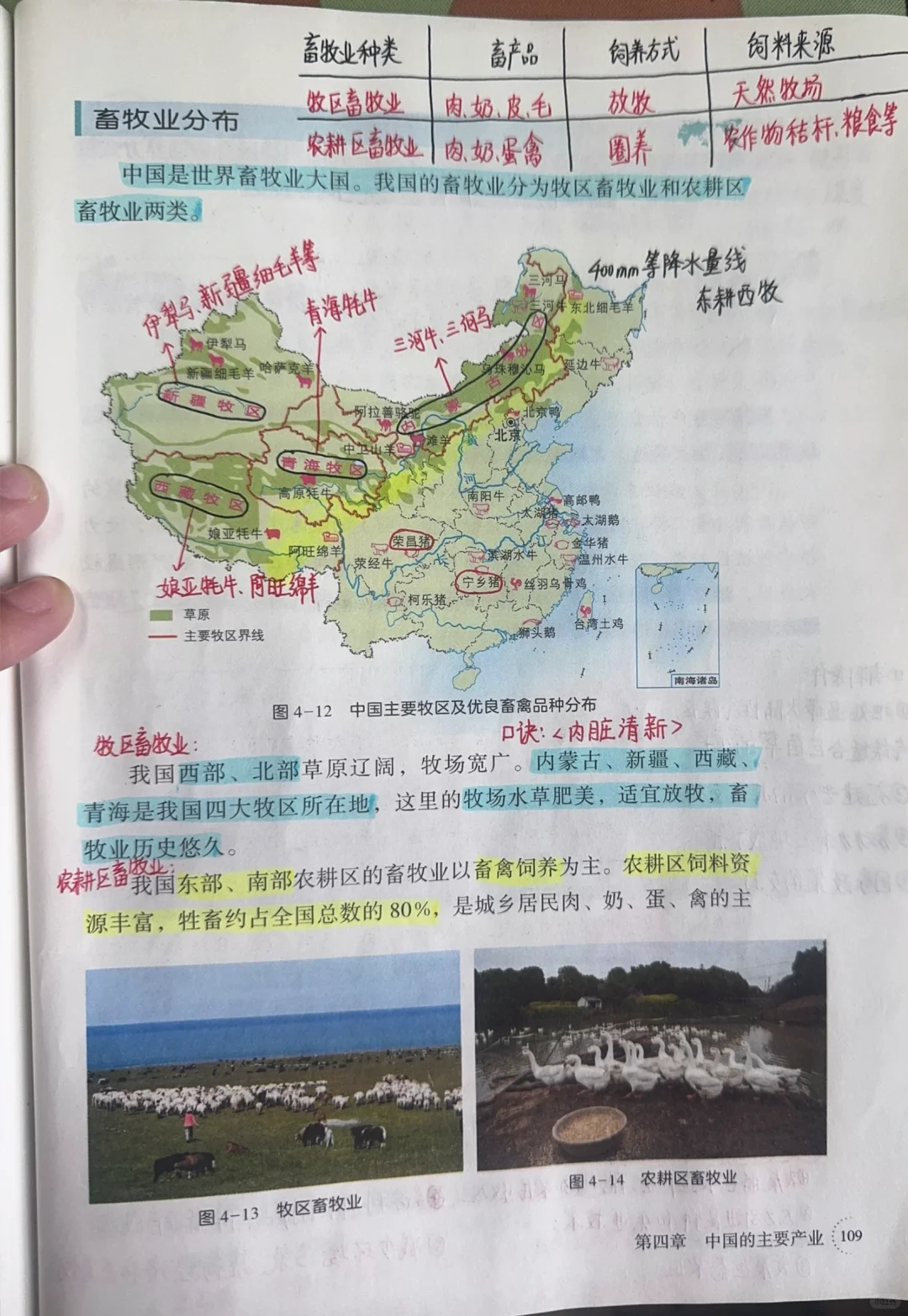 八上新湘教版地理——中国的农业