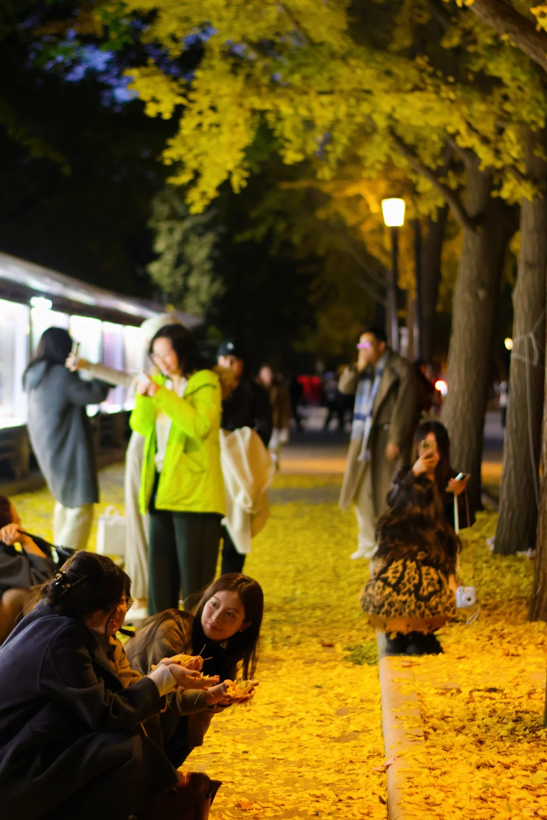 我拍到了秋景最美大学校园！北京林业大学！
