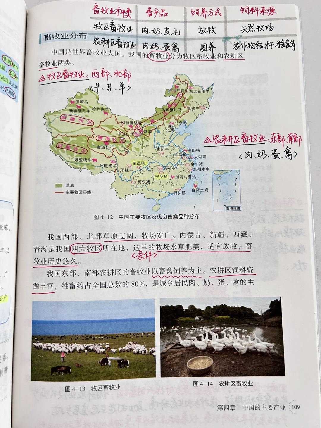 新湘教版 中国的农业🌾🌳🐑🐟