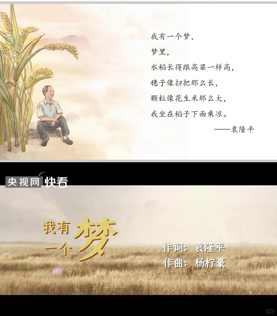 天水麻辣烫的地理密码—《中国的农业》