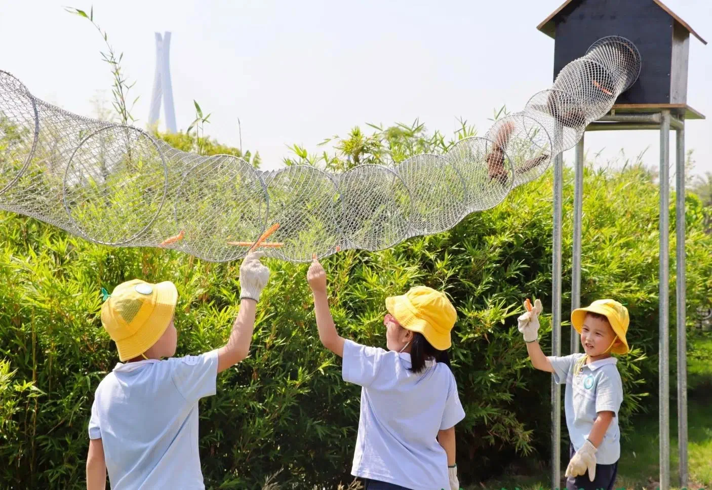 被这家南沙新酒店美到失语！
