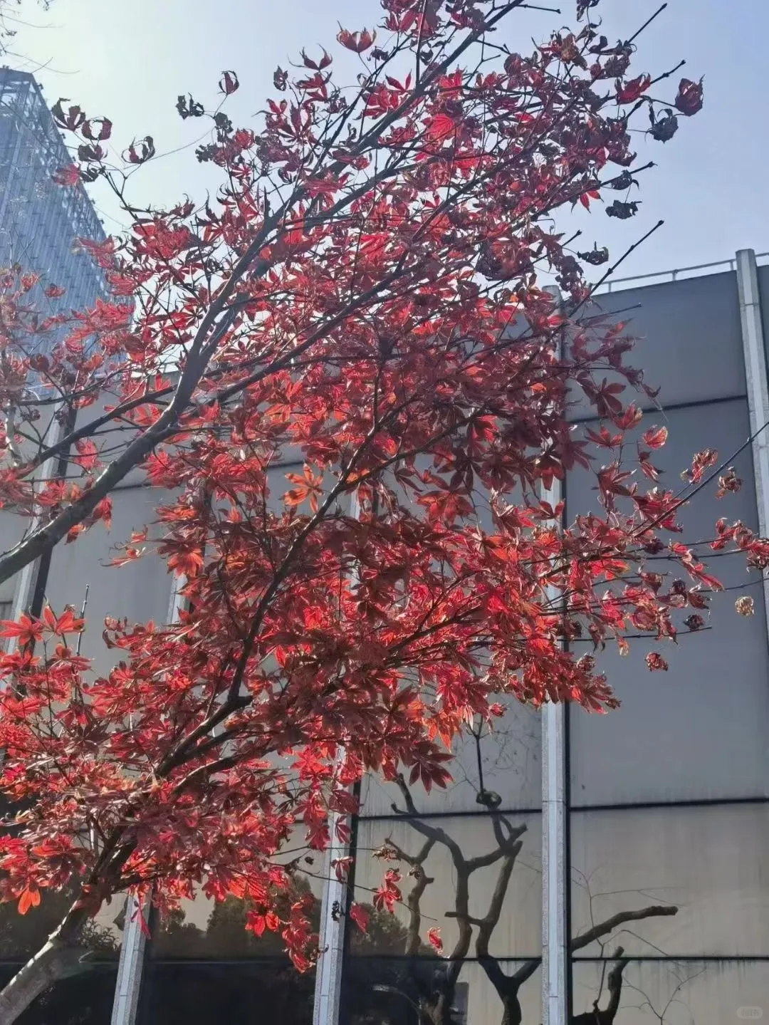 石屏县实体经济破局个人浅见，希望你能指正