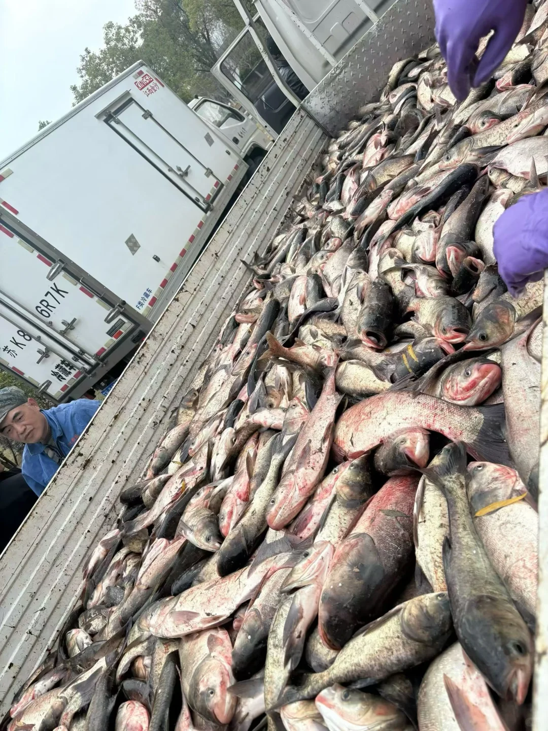 扬州大学第六届 捕鱼节