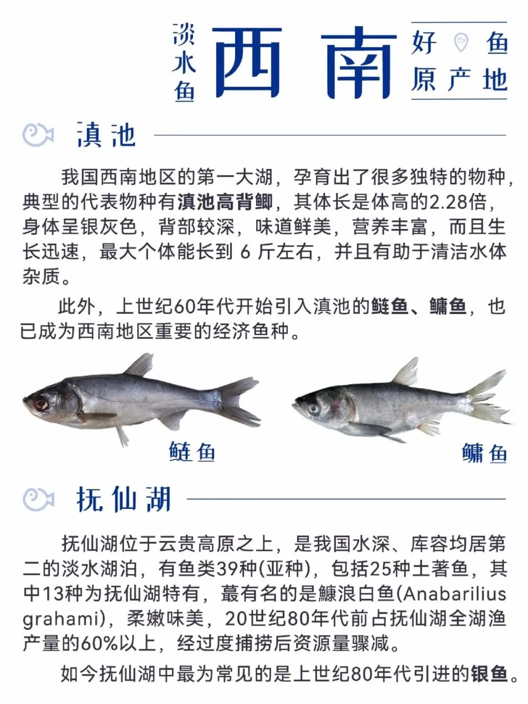 中国渔业地图 大全合集!