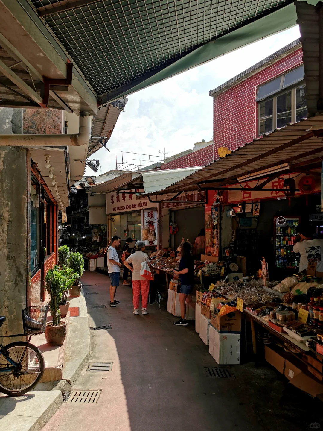 香港曾有以养蚝出名的地方现却成游客区(上)