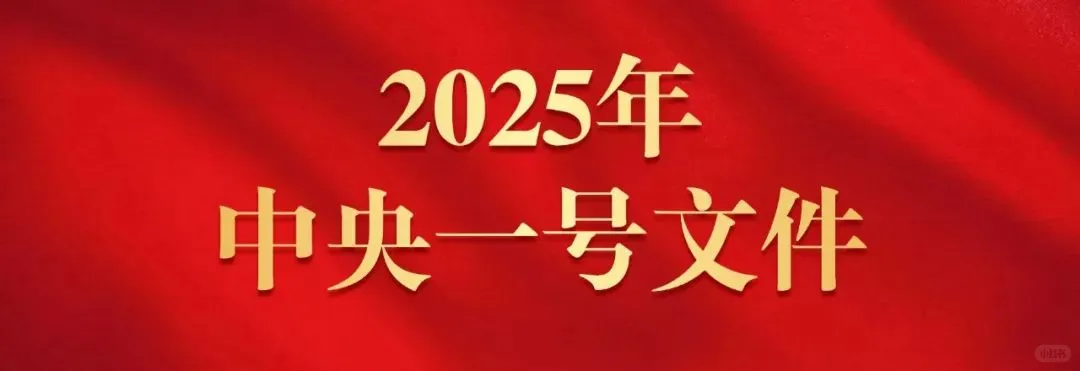 2025中央一号文件涉渔业内容