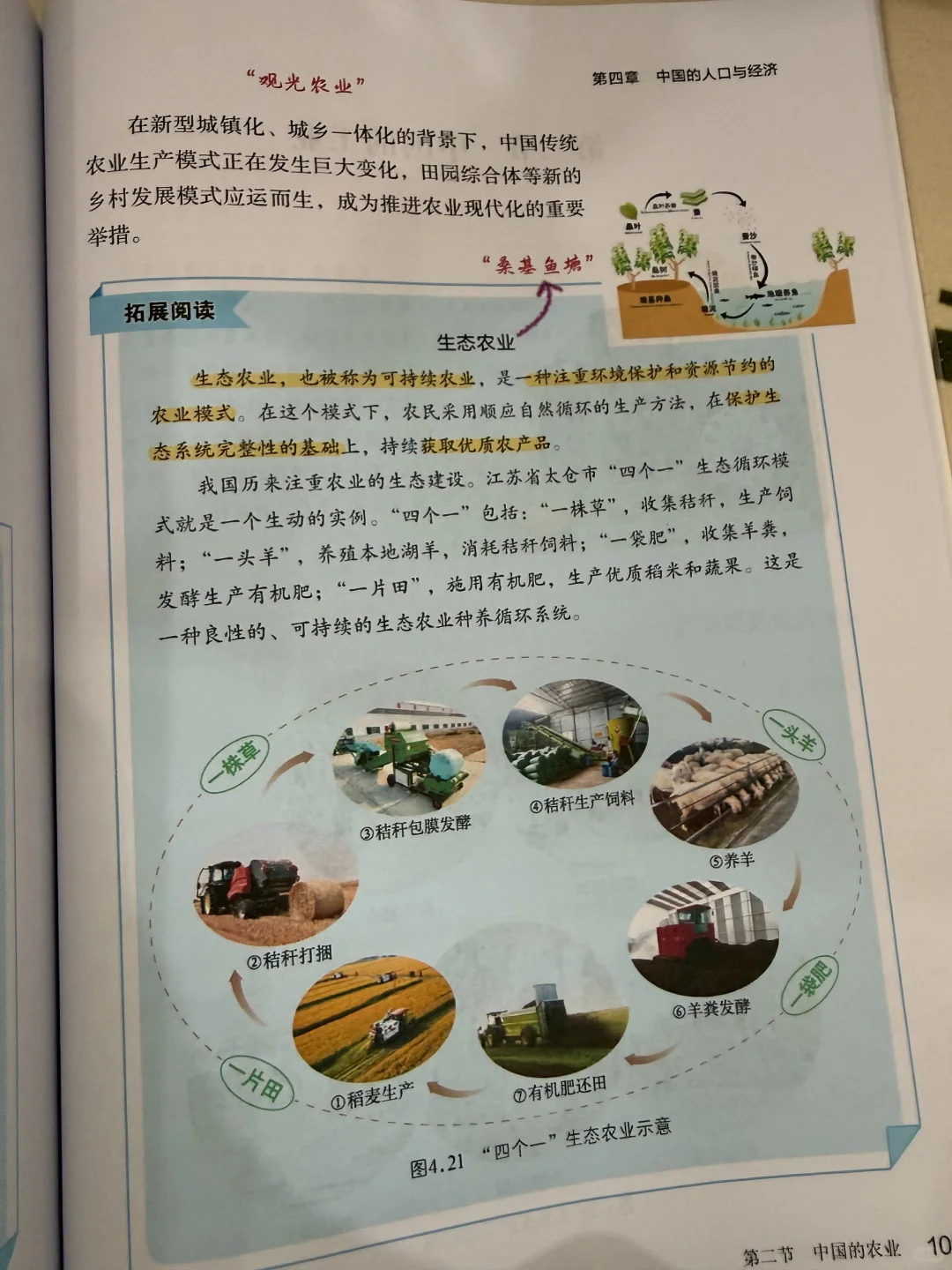 第二节 中国的农业