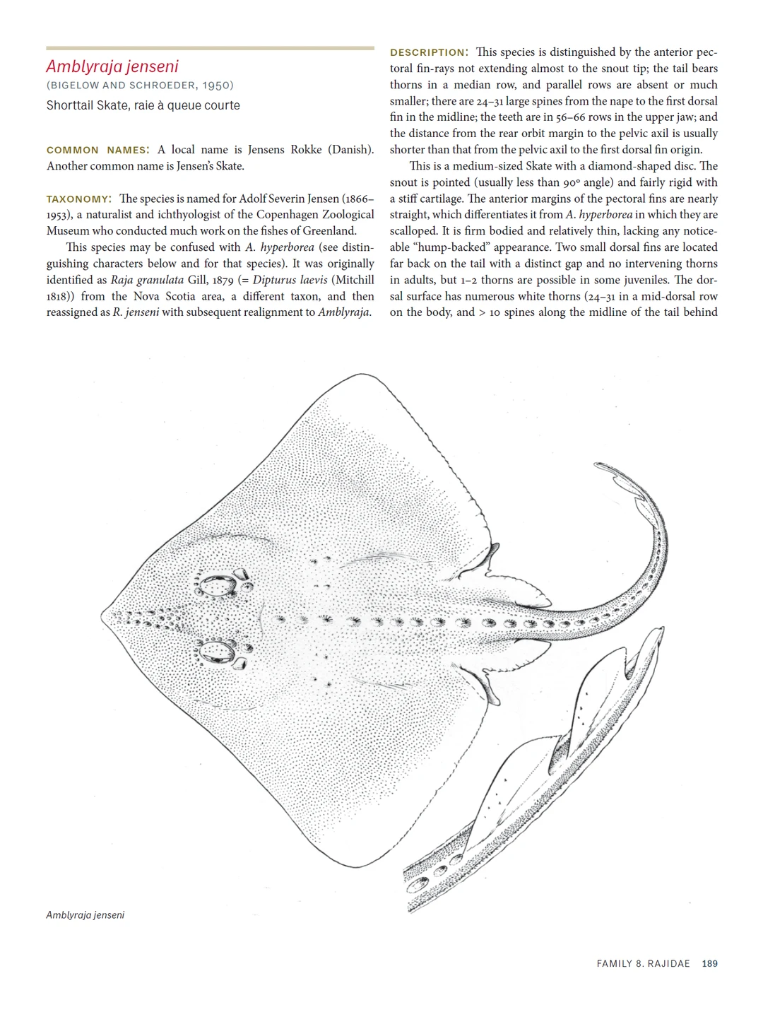 加拿大北极地区海洋鱼类图鉴