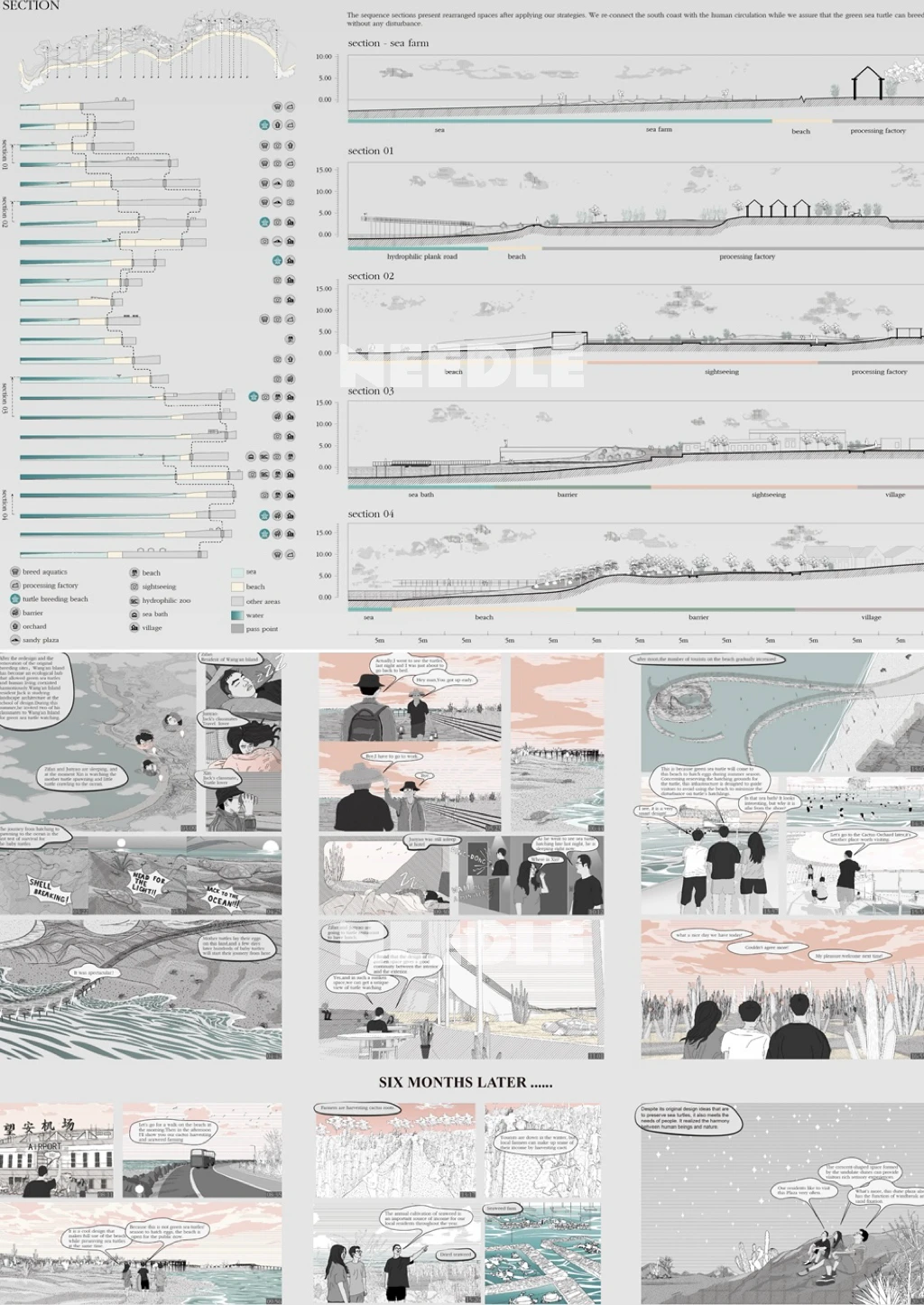 Needle项目：拯救绿蠵龟栖息地的海岸设计