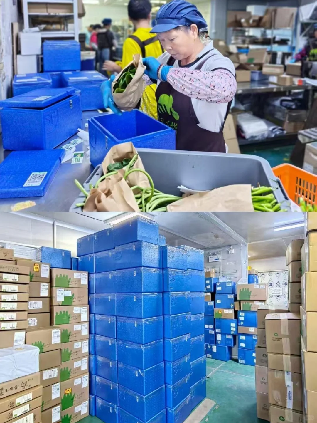 还在丢泡沫箱吗？快来加入我们的绿色循环