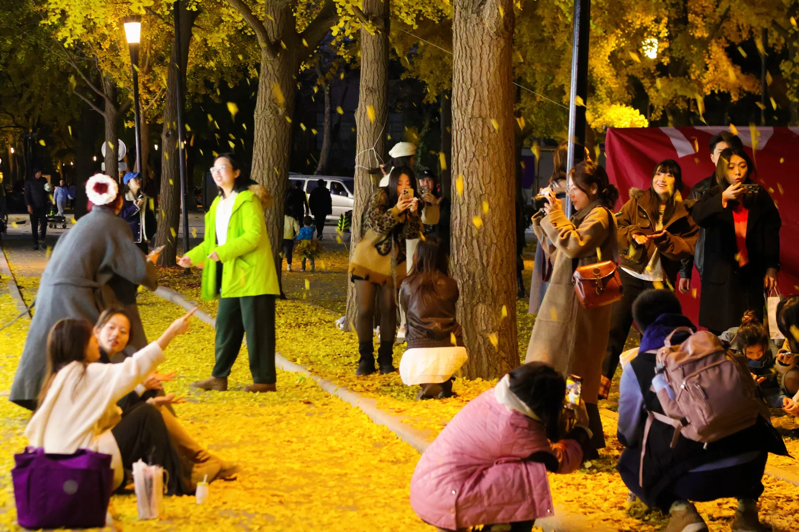 我拍到了秋景最美大学校园！北京林业大学！
