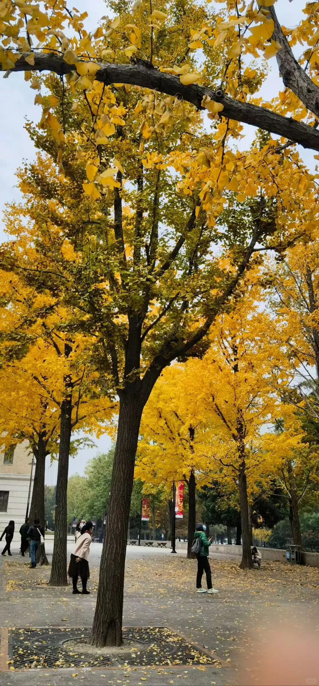 石屏县实体经济破局个人浅见，希望你能指正