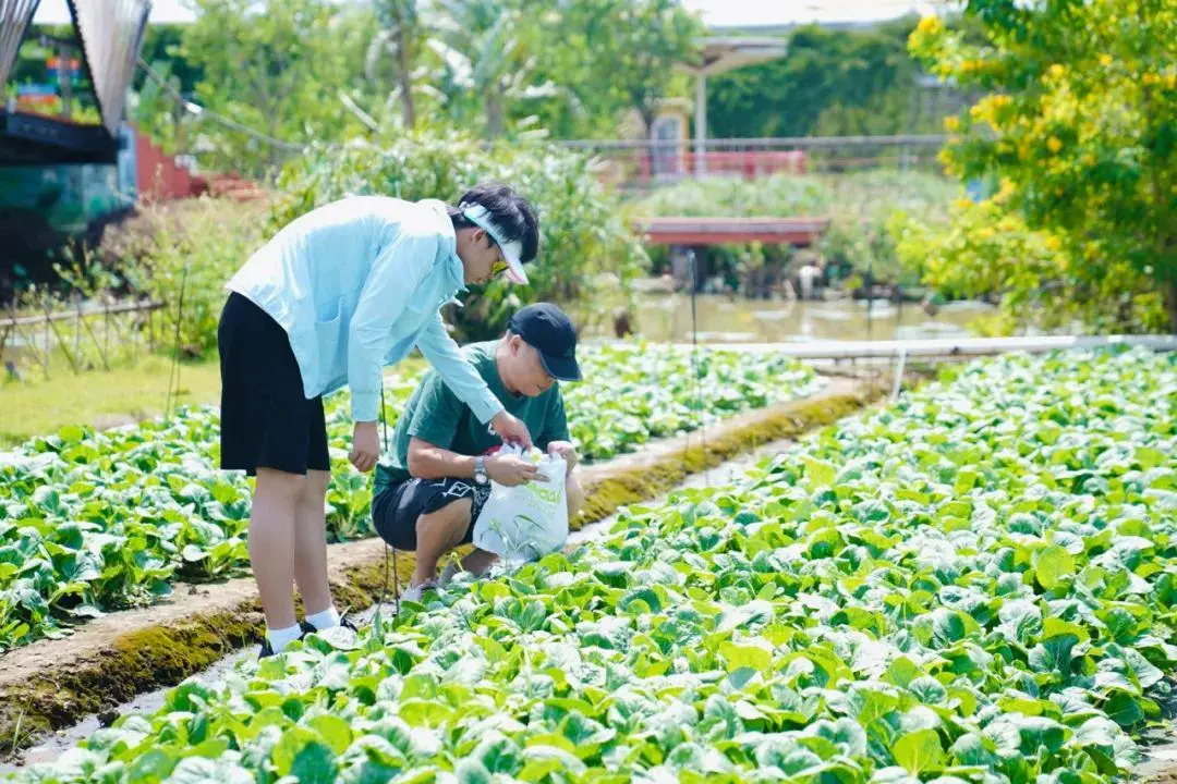 被这家南沙新酒店美到失语！