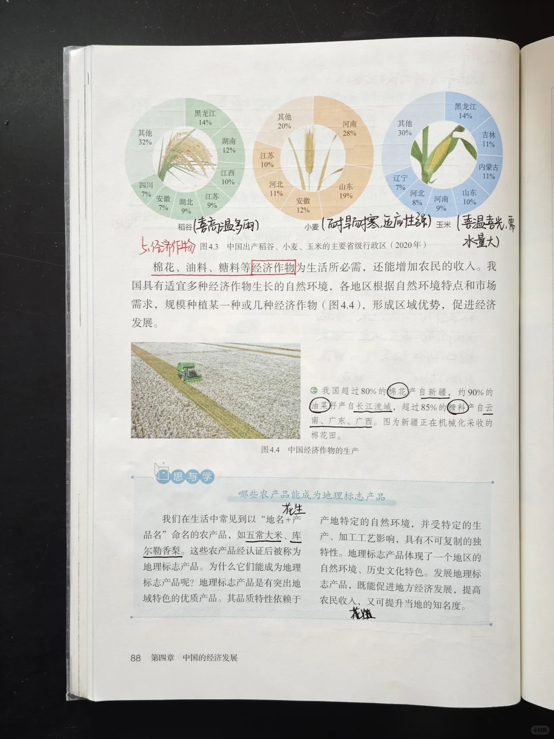 新教材八年级地理上-农业