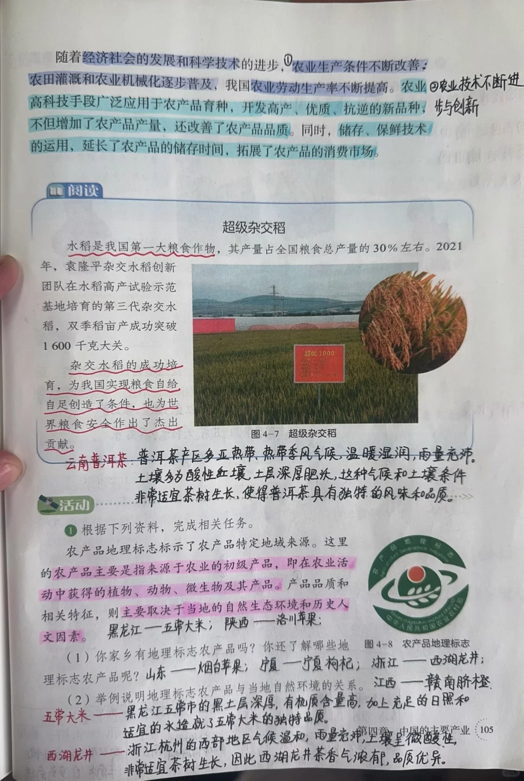 八上新湘教版地理——中国的农业