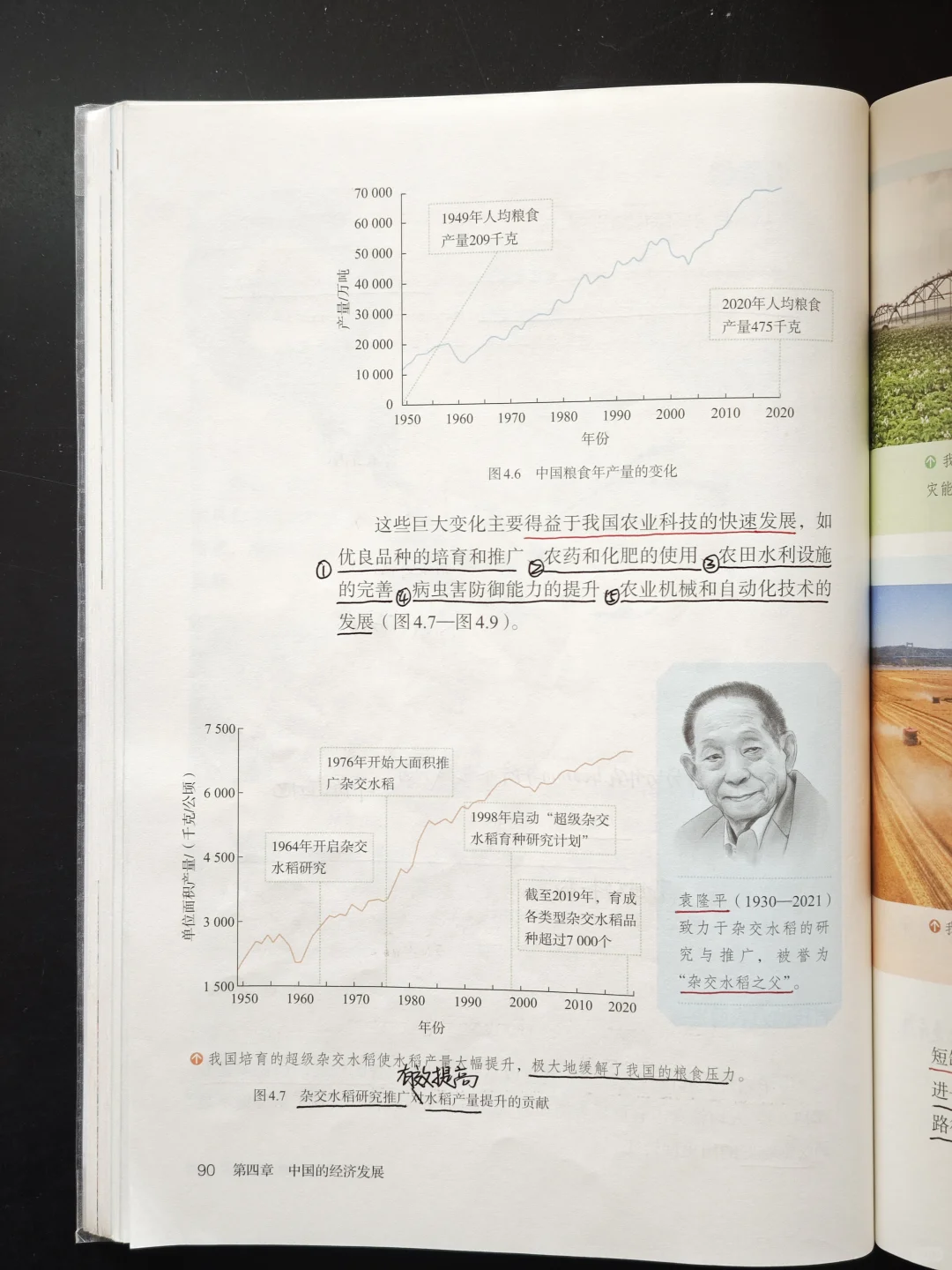 新教材八年级地理上-农业