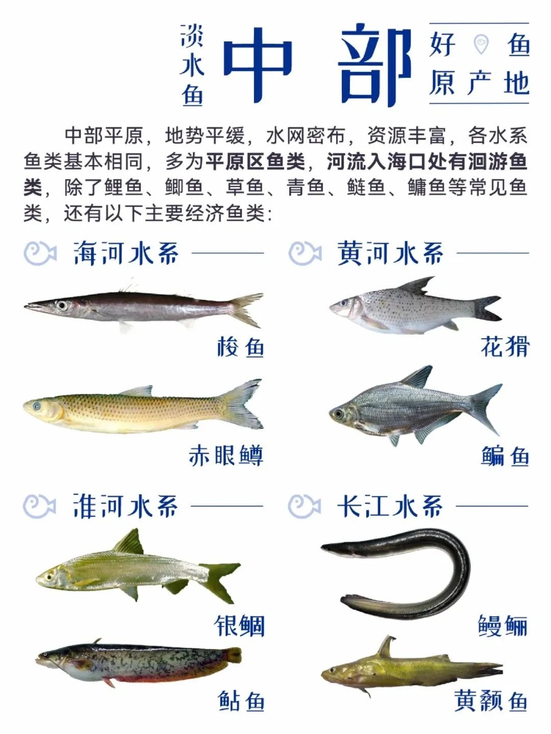 中国渔业地图 大全合集!